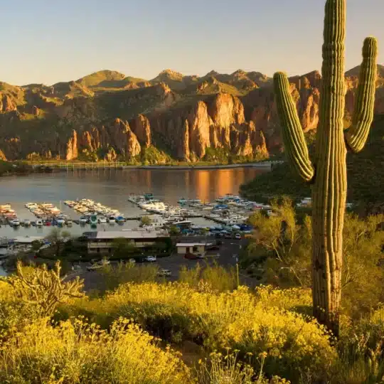 Saguaro Lake At Golden Hour